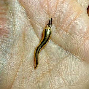 14k gold Cornicello Italian horn charm pendant